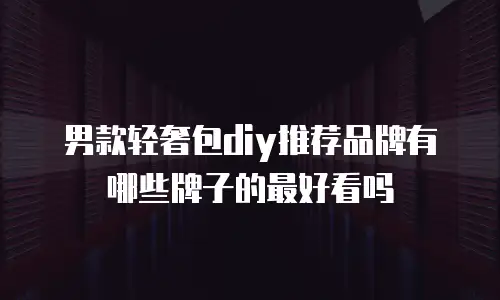 男款轻奢包diy推荐品牌有哪些牌子的最好看吗