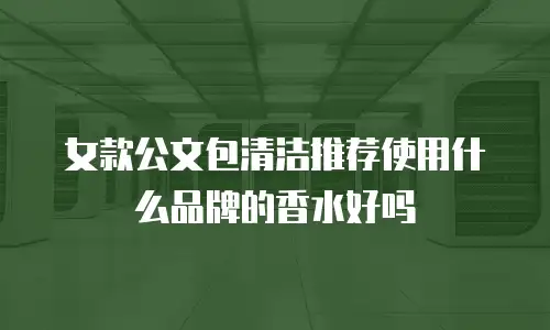 女款公文包清洁推荐使用什么品牌的香水好吗