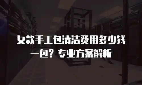 女款手工包清洁费用多少钱一包？专业方案解析