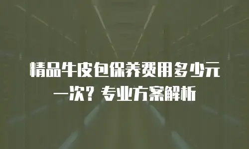 精品牛皮包保养费用多少元一次？专业方案解析