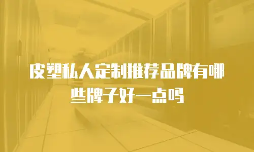 皮塑私人定制推荐品牌有哪些牌子好一点吗
