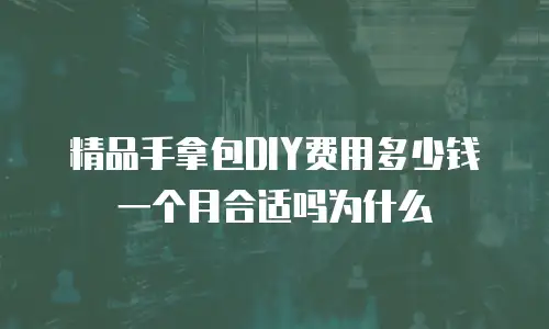 精品手拿包DIY费用多少钱一个月合适吗为什么