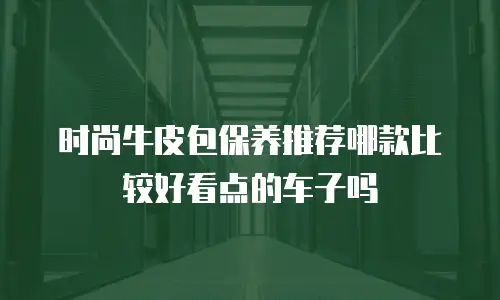 时尚牛皮包保养推荐哪款比较好看点的车子吗