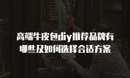 高端牛皮包diy推荐品牌有哪些及如何选择合适方案