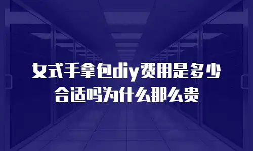 女式手拿包diy费用是多少合适吗为什么那么贵
