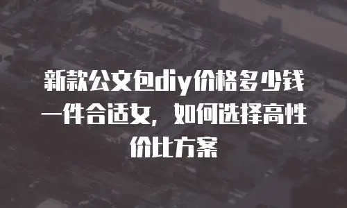 新款公文包diy价格多少钱一件合适女，如何选择高性价比方案