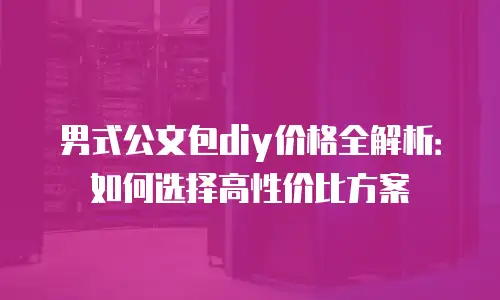 男式公文包diy价格全解析：如何选择高性价比方案
