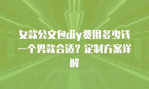 女款公文包diy费用多少钱一个男款合适？定制方案详解