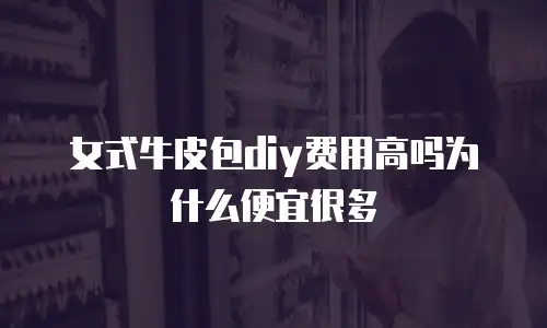 女式牛皮包diy费用高吗为什么便宜很多