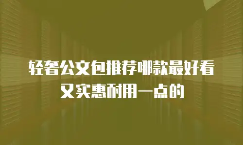 轻奢公文包推荐哪款最好看又实惠耐用一点的