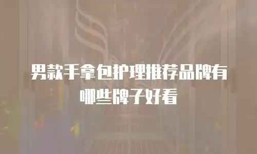 男款手拿包护理推荐品牌有哪些牌子好看