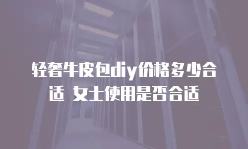 轻奢牛皮包diy价格多少合适 女士使用是否合适