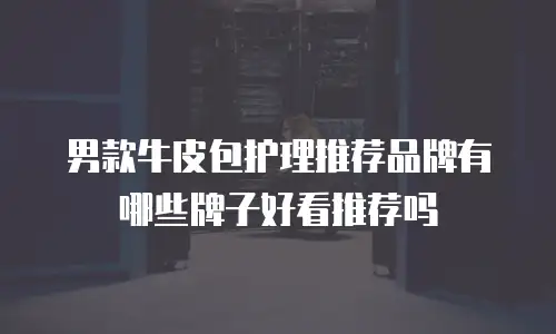 男款牛皮包护理推荐品牌有哪些牌子好看推荐吗