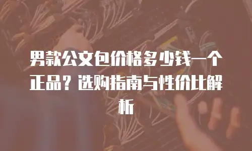 男款公文包价格多少钱一个正品？选购指南与性价比解析