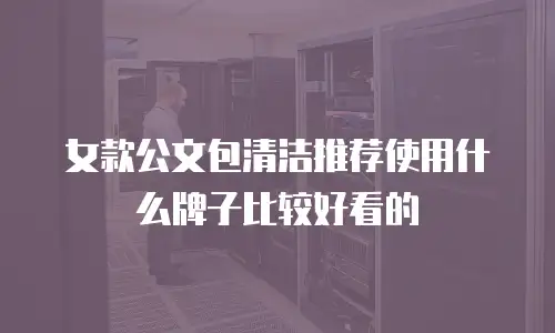 女款公文包清洁推荐使用什么牌子比较好看的