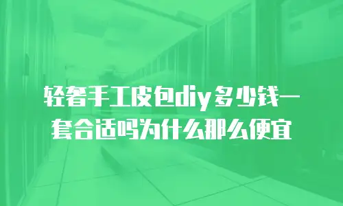 轻奢手工皮包diy多少钱一套合适吗为什么那么便宜