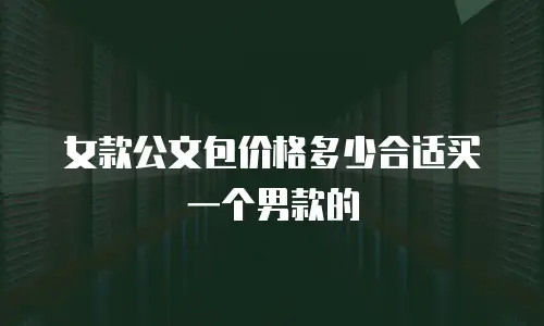 女款公文包价格多少合适买一个男款的