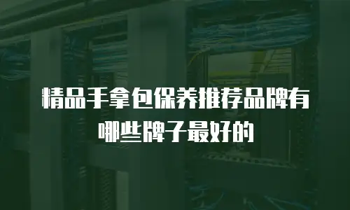 精品手拿包保养推荐品牌有哪些牌子最好的