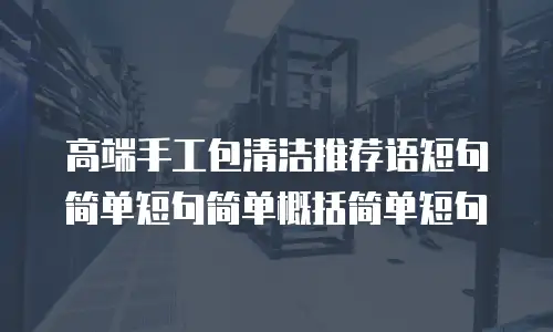 高端手工包清洁推荐语短句简单短句简单概括简单短句