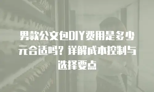 男款公文包DIY费用是多少元合适吗？详解成本控制与选择要点
