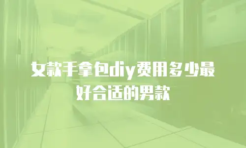 女款手拿包diy费用多少最好合适的男款