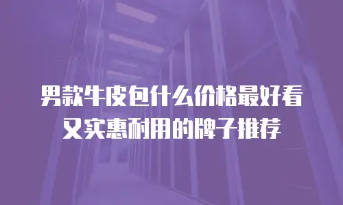男款牛皮包什么价格最好看又实惠耐用的牌子推荐