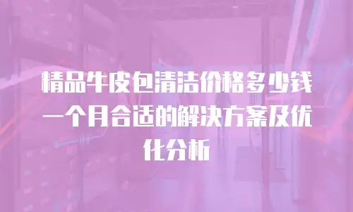 精品牛皮包清洁价格多少钱一个月合适的解决方案及优化分析