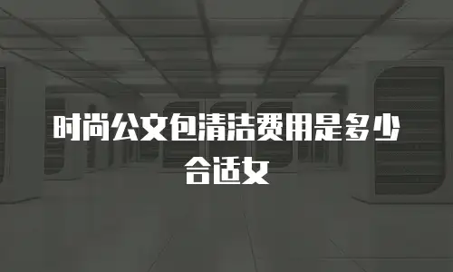 时尚公文包清洁费用是多少合适女