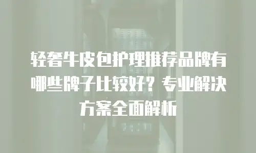 轻奢牛皮包护理推荐品牌有哪些牌子比较好？专业解决方案全面解析