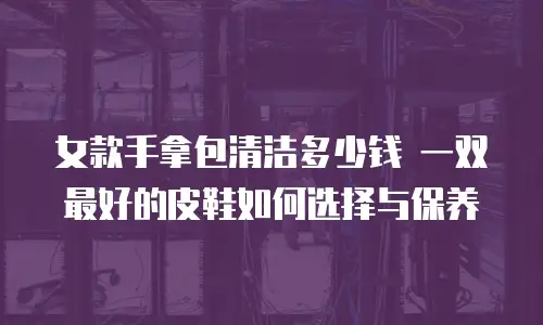 女款手拿包清洁多少钱 一双最好的皮鞋如何选择与保养