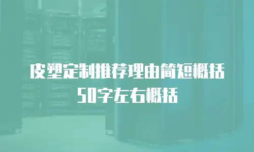 皮塑定制推荐理由简短概括50字左右概括