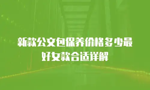 新款公文包保养价格多少最好女款合适详解