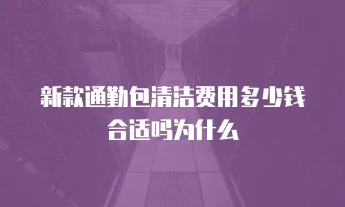 新款通勤包清洁费用多少钱合适吗为什么