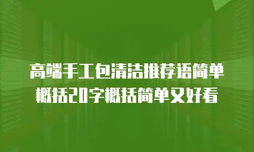 高端手工包清洁推荐语简单概括20字概括简单又好看