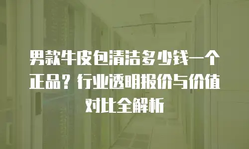 男款牛皮包清洁多少钱一个正品？行业透明报价与价值对比全解析