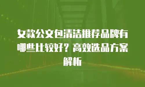女款公文包清洁推荐品牌有哪些比较好？高效选品方案解析