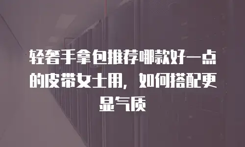 轻奢手拿包推荐哪款好一点的皮带女士用，如何搭配更显气质