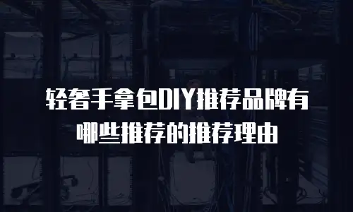 轻奢手拿包DIY推荐品牌有哪些推荐的推荐理由