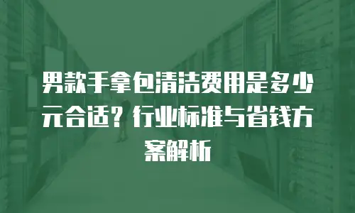 男款手拿包清洁费用是多少元合适？行业标准与省钱方案解析