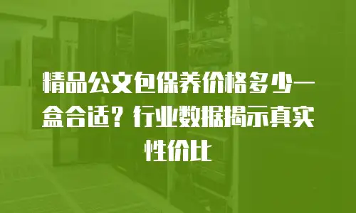 精品公文包保养价格多少一盒合适？行业数据揭示真实性价比