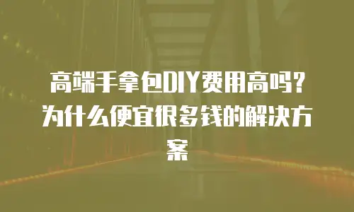 高端手拿包DIY费用高吗？为什么便宜很多钱的解决方案