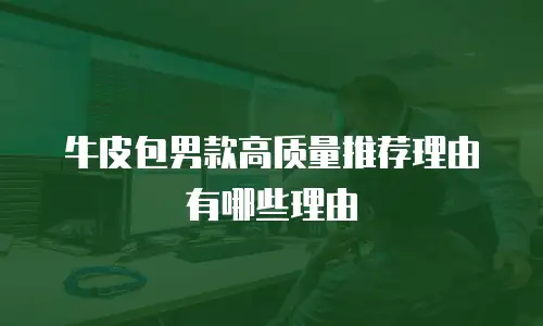 牛皮包男款高质量推荐理由有哪些理由