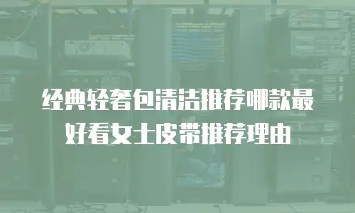 经典轻奢包清洁推荐哪款最好看女士皮带推荐理由