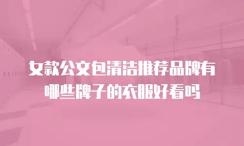 女款公文包清洁推荐品牌有哪些牌子的衣服好看吗