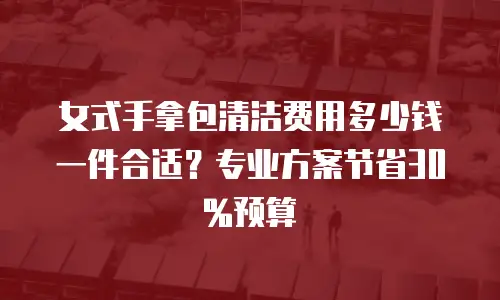 女式手拿包清洁费用多少钱一件合适？专业方案节省30%预算