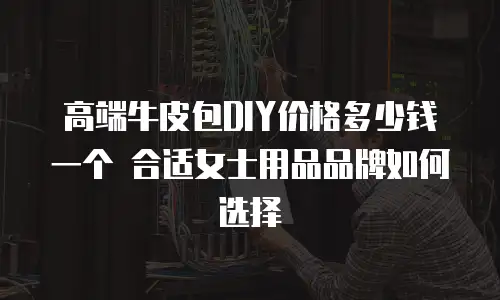 高端牛皮包DIY价格多少钱一个 合适女士用品品牌如何选择
