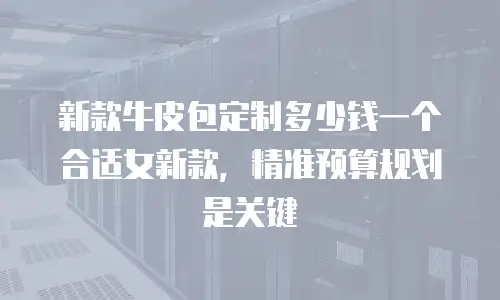 新款牛皮包定制多少钱一个合适女新款，精准预算规划是关键