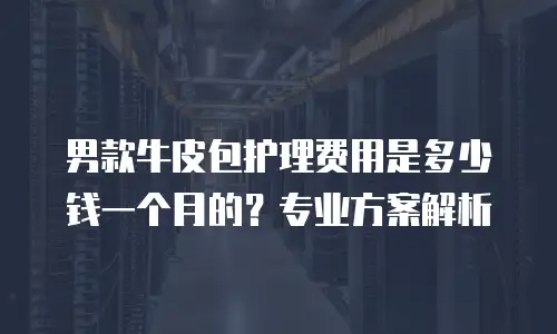男款牛皮包护理费用是多少钱一个月的？专业方案解析