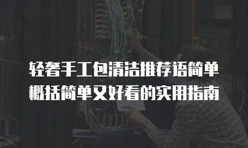 轻奢手工包清洁推荐语简单概括简单又好看的实用指南