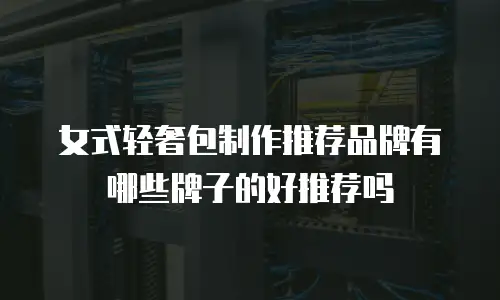 女式轻奢包制作推荐品牌有哪些牌子的好推荐吗